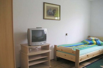 Polen Privát Janów Podlaski, Eksteriør